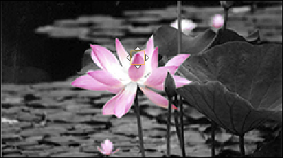 sc_ill_filter_onepoint_set