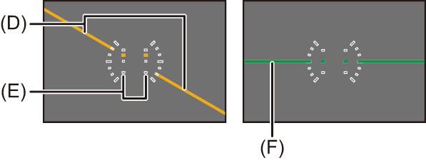 image_rec-mode-display-level