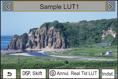 gui_realtime_lut_dan