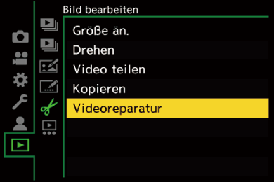 gui_video-repair1_ger
