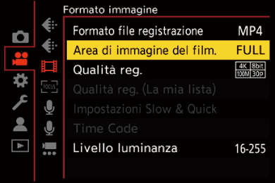 gui_image-area-of-video_ita