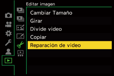 gui_video-repair1_spa