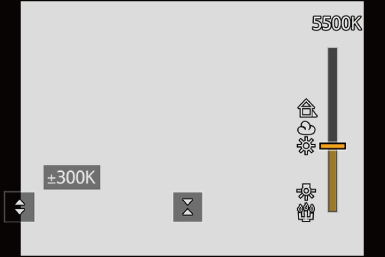 gui_wb-temp-bracket1
