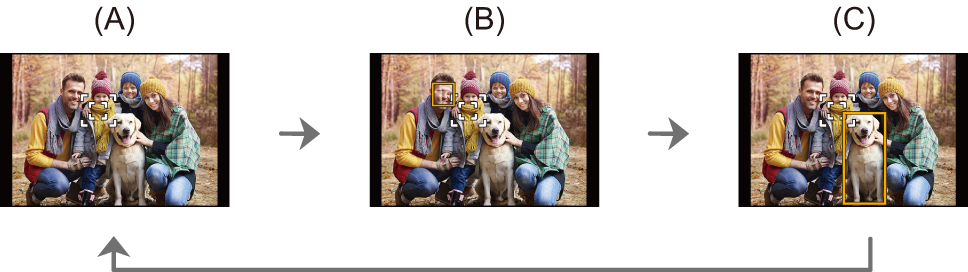 image_1point-af-detection_off
