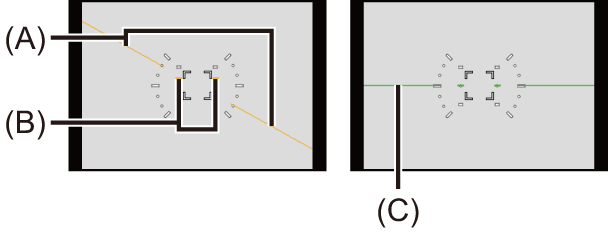 image_rec-mode-display-level