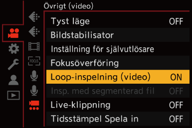 gui_loop-rec2_swe