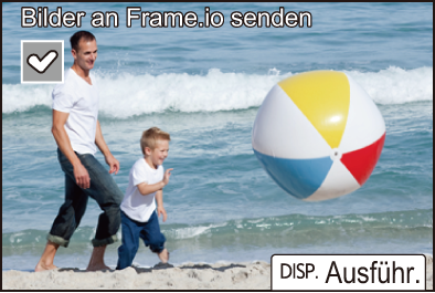 gui_frameio3_ger
