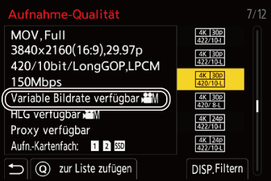 gui_rec-quality-vfr_ger