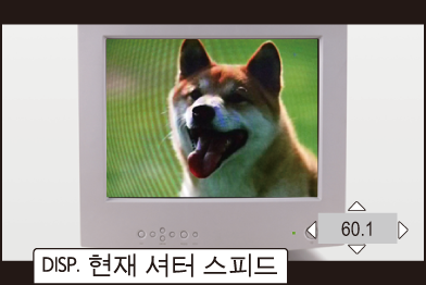 gui_synchro-scan-photo2_kor