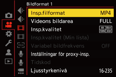 gui_rec-file-format_swe
