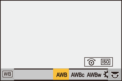 gui_fn11-wb1