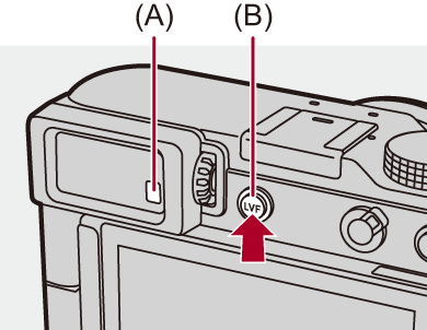 image_display1