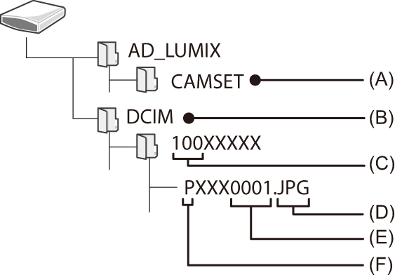 image_folder