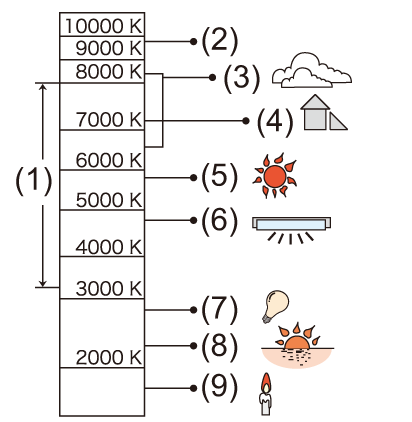 image_white-b2