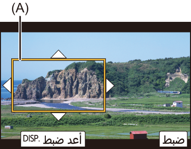gui_4k_live_crop2-1_ara