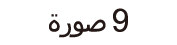 icon_bur-recor-num_ara