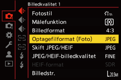 gui_picture-fileformat_dan