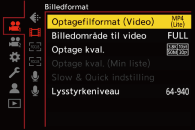 gui_rec-file-format_dan