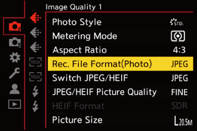 gui_picture-fileformat_eng