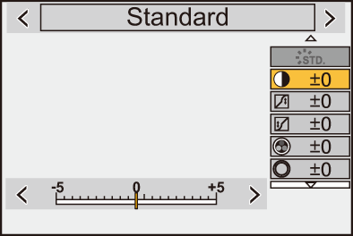 gui_photo-style-custom2_ger