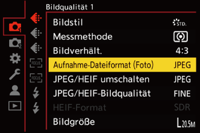 gui_picture-fileformat_ger