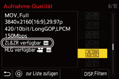 gui_rec-quality-s_and_q_ger