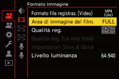 gui_image-area-of-video_ita