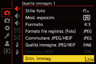 gui_picture-size_ita