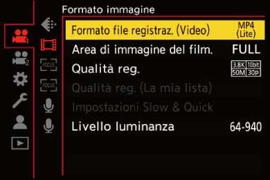 gui_rec-file-format_ita