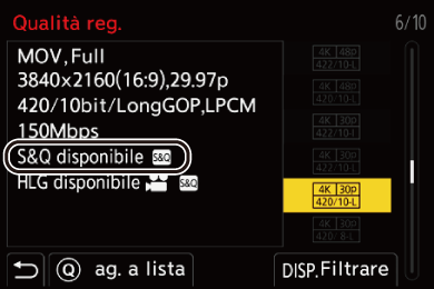 gui_rec-quality-s_and_q_ita