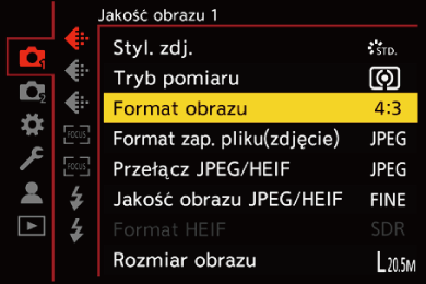 gui_aspect-ratio_pol