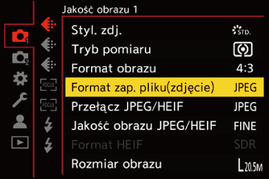 gui_picture-fileformat_pol