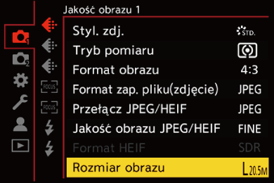 gui_picture-size_pol