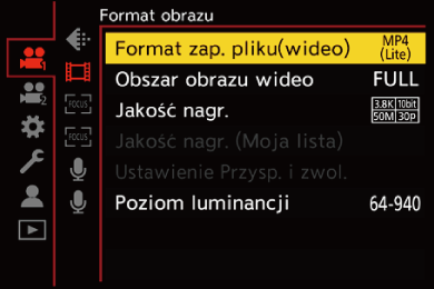 gui_rec-file-format_pol