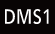 icon_dms1-info-disp-vm