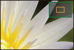 image_mf-assist-monitor-2