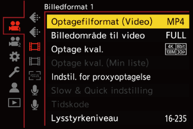 gui_rec-file-format_dan