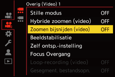 gui_crop-zoom-video_dut