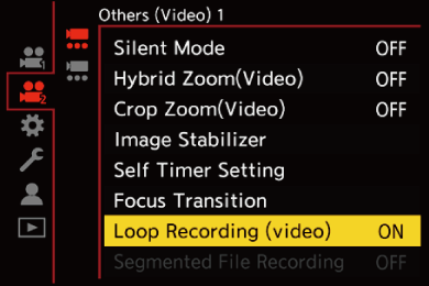 gui_loop-rec2_eng