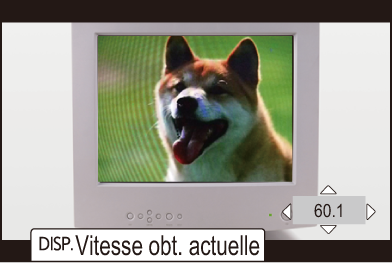 gui_synchro-scan-photo2_fre