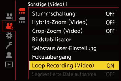 gui_loop-rec2_ger
