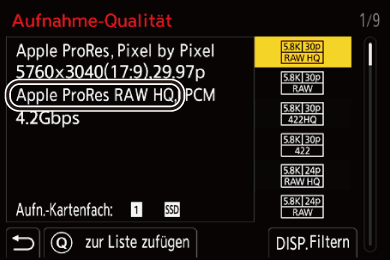 gui_rec-quality_RAW_ger