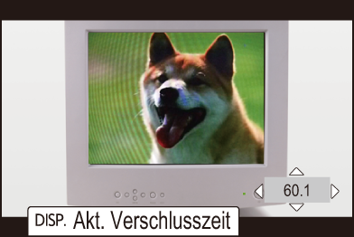 gui_synchro-scan-photo2_ger