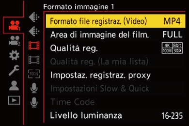 gui_rec-file-format_ita