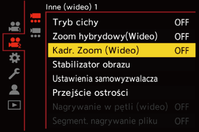 gui_crop-zoom-video_pol