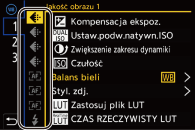 gui_fn-button-set05_pol