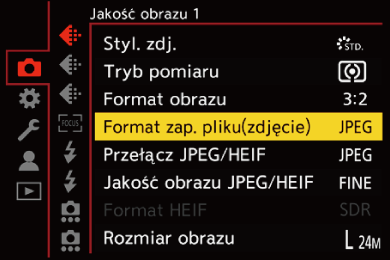 gui_picture-fileformat_pol