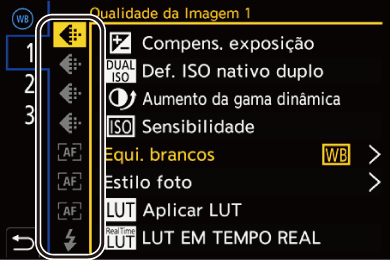 gui_fn-button-set05_por