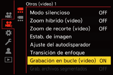 gui_loop-rec2_spa