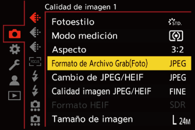 gui_picture-fileformat_spa